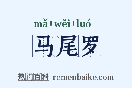 马尾罗是什么意思的图片